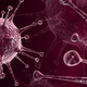 Illustration for article titled Herpes-Based Drug Shown to Successfully Treat Aggressive Skin Cancer